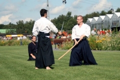 DvdL_070