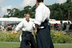 DvdL_50