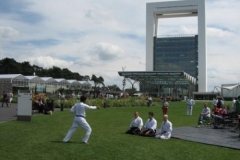 KT_010