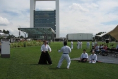 KT_110