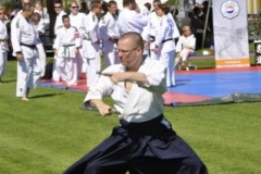 vdB_3