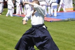 vdB_4