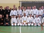 04-11-2012 NFK 7Masters Martial Arts Festival
