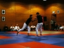 04-11-2012 NFK 7Masters Martial Arts Festival