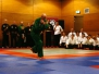 04-11-2012 NFK 7Masters Martial Arts Festival