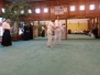 06-12-2014 Training Kurabe Sensei in 'De Sportacademie'