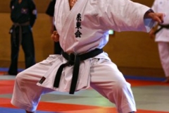 20110213_NFK_Karate_Kempo_stage_MD_102