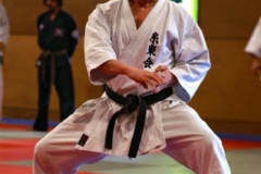 20110213_NFK_Karate_Kempo_stage_MD_103