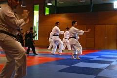 20110213_NFK_Karate_Kempo_stage_MD_111