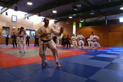 20110213_NFK_Karate_Kempo_stage_MD_122