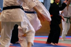20110213_NFK_Karate_Kempo_stage_MD_123