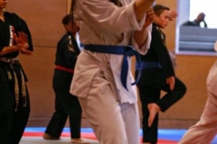 20110213_NFK_Karate_Kempo_stage_MD_124