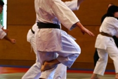 20110213_NFK_Karate_Kempo_stage_MD_125