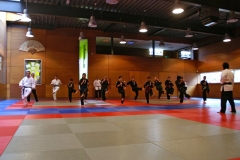 20110213_NFK_Karate_Kempo_stage_MD_137