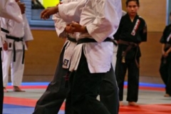 20110213_NFK_Karate_Kempo_stage_MD_144