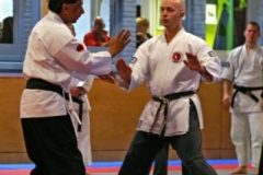 20110213_NFK_Karate_Kempo_stage_MD_153