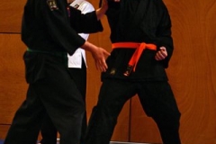 20110213_NFK_Karate_Kempo_stage_MD_154