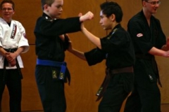 20110213_NFK_Karate_Kempo_stage_MD_156