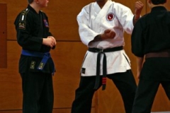 20110213_NFK_Karate_Kempo_stage_MD_165