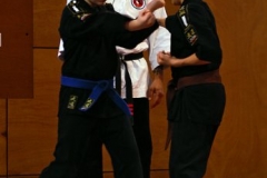 20110213_NFK_Karate_Kempo_stage_MD_167