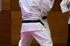 20110213_NFK_Karate_Kempo_stage_MD_174