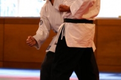 20110213_NFK_Karate_Kempo_stage_MD_177