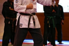 20110213_NFK_Karate_Kempo_stage_MD_179