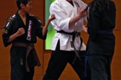 20110213_NFK_Karate_Kempo_stage_MD_187