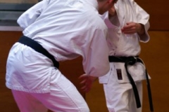 20110213_NFK_Karate_Kempo_stage_MD_190