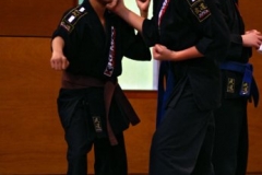 20110213_NFK_Karate_Kempo_stage_MD_192