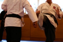 20110213_NFK_Karate_Kempo_stage_MD_193
