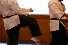 20110213_NFK_Karate_Kempo_stage_MD_196