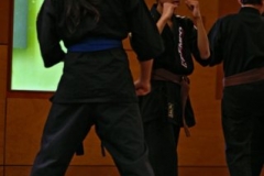 20110213_NFK_Karate_Kempo_stage_MD_200