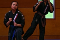 20110213_NFK_Karate_Kempo_stage_MD_206