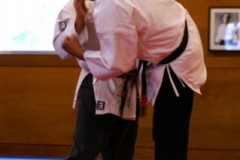 20110213_NFK_Karate_Kempo_stage_MD_210