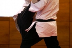 20110213_NFK_Karate_Kempo_stage_MD_213