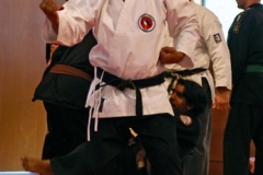 20110213_NFK_Karate_Kempo_stage_MD_218