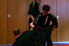 20110213_NFK_Karate_Kempo_stage_MD_225