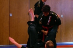 20110213_NFK_Karate_Kempo_stage_MD_226