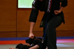 20110213_NFK_Karate_Kempo_stage_MD_230