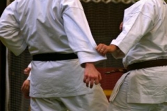 20110213_NFK_Karate_Kempo_stage_MD_238
