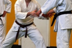 20110213_NFK_Karate_Kempo_stage_MD_242