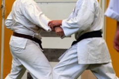 20110213_NFK_Karate_Kempo_stage_MD_246