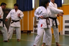 20110213_NFK_Karate_Kempo_stage_MD_252