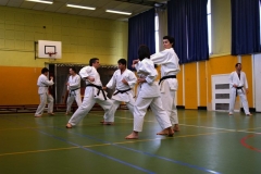 20110213_NFK_Karate_Kempo_stage_MD_253