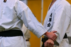 20110213_NFK_Karate_Kempo_stage_MD_255