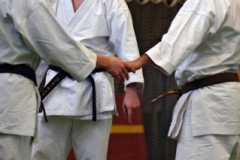 20110213_NFK_Karate_Kempo_stage_MD_257