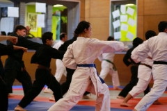 20110213_NFK_Karate_Kempo_stage_MD_34