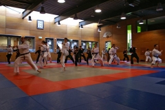 20110213_NFK_Karate_Kempo_stage_MD_35
