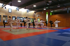 20110213_NFK_Karate_Kempo_stage_MD_40